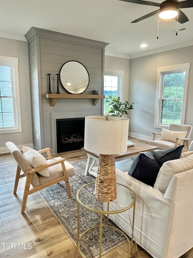 1270 Cabot Cv, Jonesborough, TN 37659 - living area featuring ornamental molding, wood finished floors, a ceiling fan, baseboards, and a fireplace