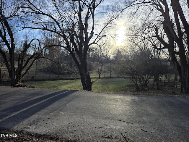 1606 Lester Harris Rd, Johnson City, TN 37601 - view of street