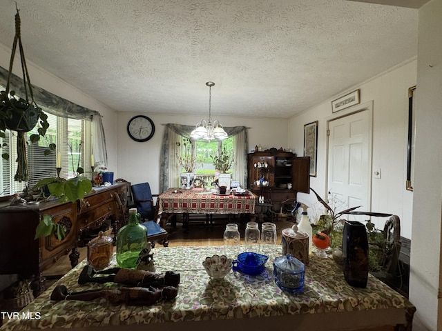 649 Sugar Run Rd, Jonesville, VA 24263 - dining room featuring a chandelier, healthy amount of natural light, wood finished floors, and a textured ceiling