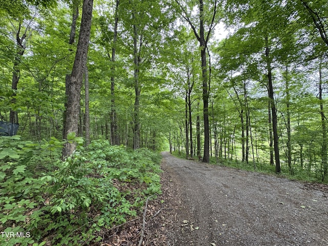649 Sugar Run Rd, Jonesville, VA 24263 - view of road with a forest view