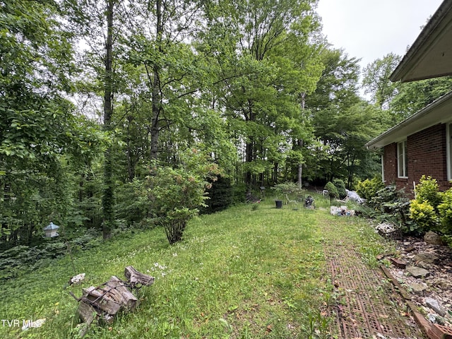 649 Sugar Run Rd, Jonesville, VA 24263 - view of yard