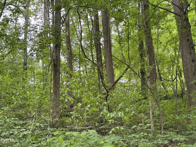 649 Sugar Run Rd, Jonesville, VA 24263 - view of woods