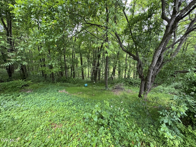 649 Sugar Run Rd, Jonesville, VA 24263 - view of woods
