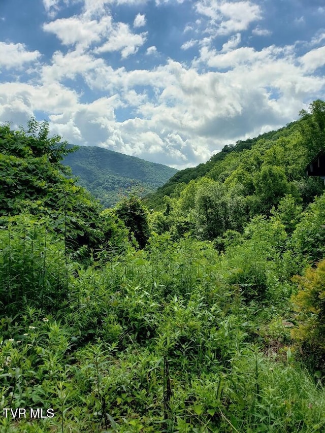 174 Doty Rd, Roan Mountain, TN 37687