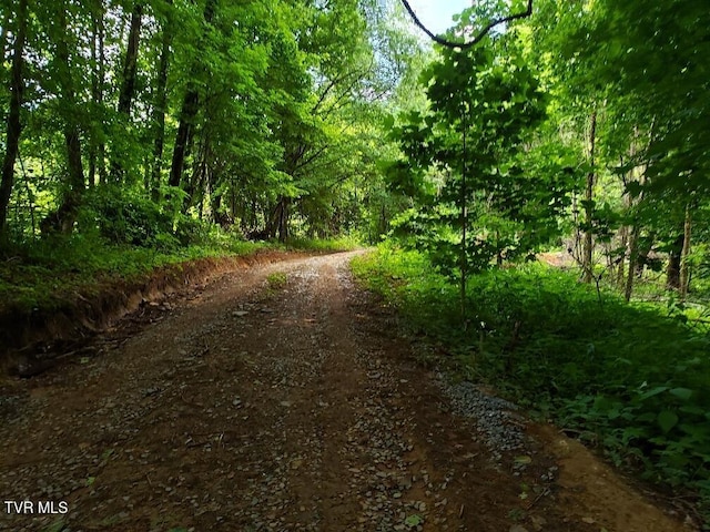 174 Doty Rd, Roan Mountain, TN 37687