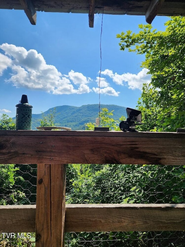 174 Doty Rd, Roan Mountain, TN 37687