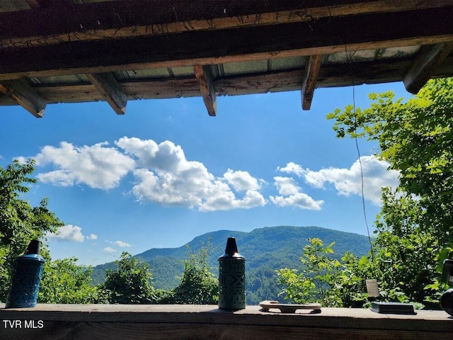 174 Doty Rd, Roan Mountain, TN 37687