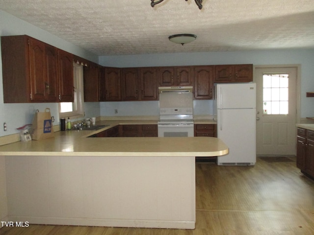 145 Rock City Rd, Kingsport, TN 37664 - kitchen with light countertops, a healthy amount of sunlight, under cabinet range hood, and white appliances