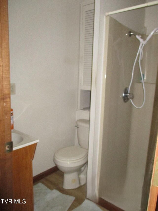 145 Rock City Rd, Kingsport, TN 37664 - full bathroom with toilet, vanity, wood finished floors, and a shower stall