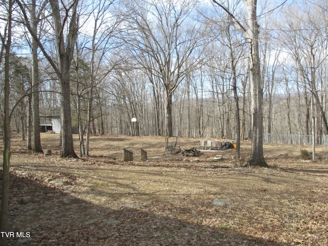 145 Rock City Rd, Kingsport, TN 37664 - view of yard with fence