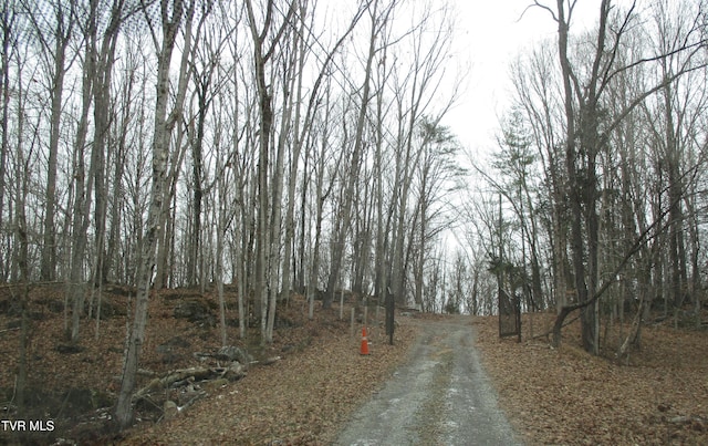145 Rock City Rd, Kingsport, TN 37664 - view of road