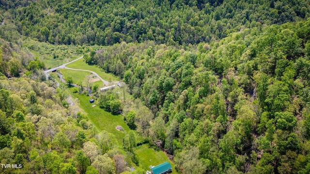 120 Bear Hollow Rd, Bristol, TN 37620 - bird's eye view featuring a forest view