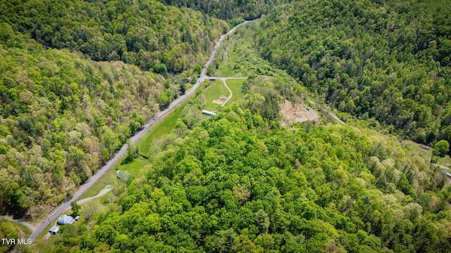 120 Bear Hollow Rd, Bristol, TN 37620 - bird's eye view featuring a forest view