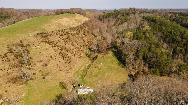 TBD49.60 Looney Rd, Parrottsville, TN 37843 - photo 20