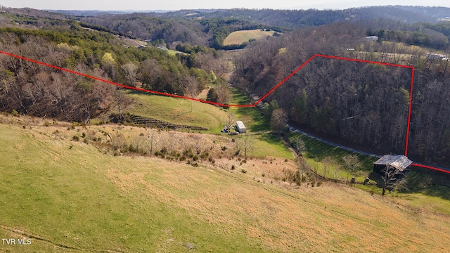 TBD49.60 Looney Rd, Parrottsville, TN 37843 - photo 22