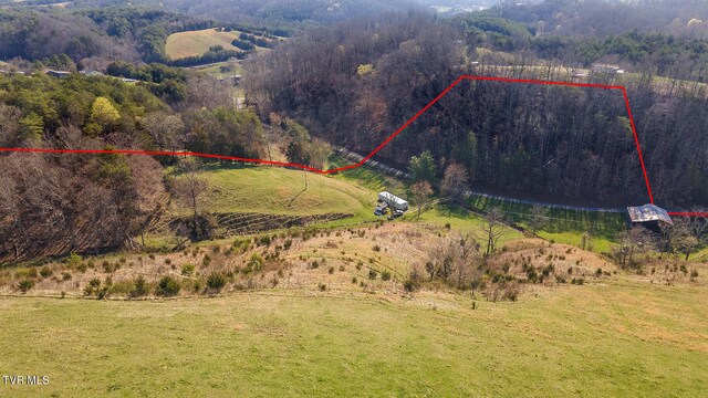 TBD49.60 Looney Rd, Parrottsville, TN 37843 - photo 23