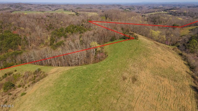 TBD49.60 Looney Rd, Parrottsville, TN 37843 - photo 24