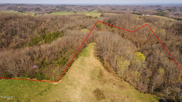 TBD49.60 Looney Rd, Parrottsville, TN 37843 - photo 25