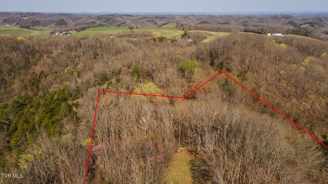 TBD49.60 Looney Rd, Parrottsville, TN 37843 - photo 26