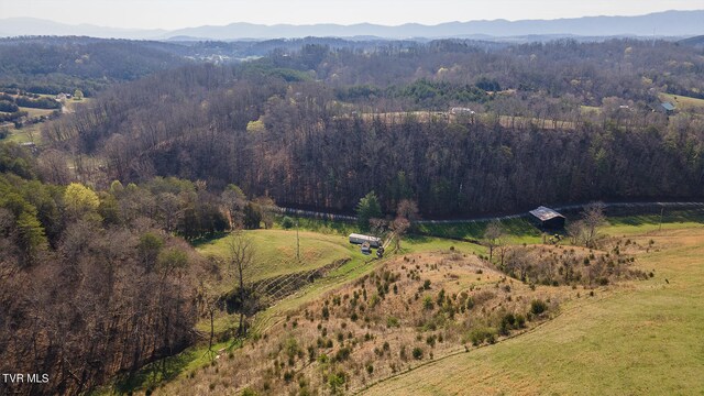 TBD49.60 Looney Rd, Parrottsville, TN 37843 - photo 11