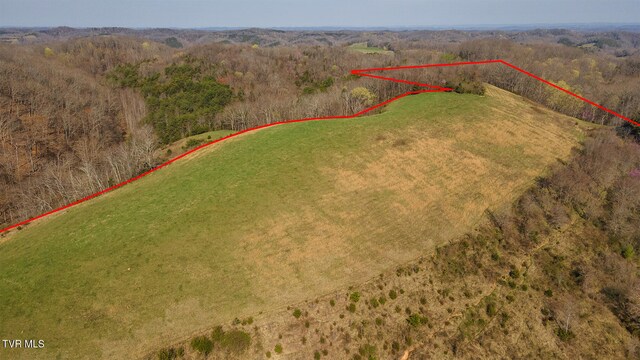TBD49.60 Looney Rd, Parrottsville, TN 37843 - photo 28