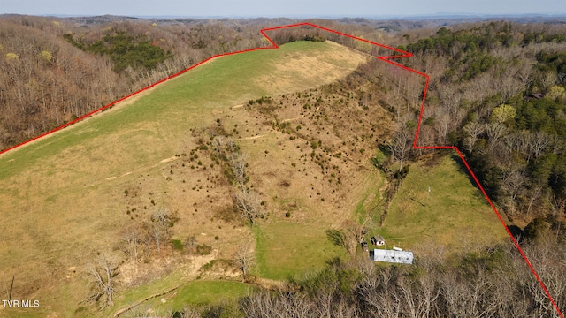 TBD49.60 Looney Rd, Parrottsville, TN 37843 - photo 29