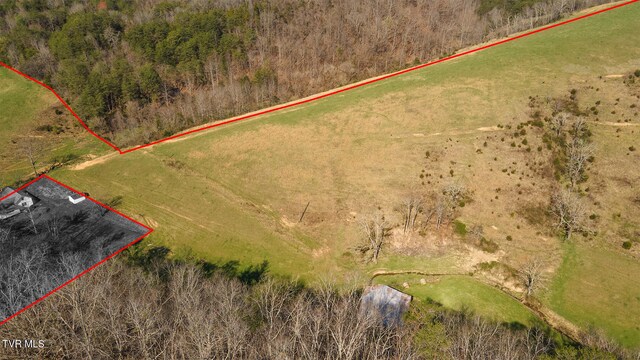 TBD49.60 Looney Rd, Parrottsville, TN 37843 - photo 30