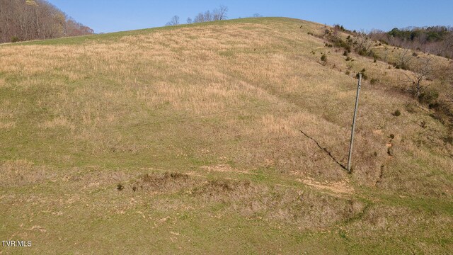 TBD49.60 Looney Rd, Parrottsville, TN 37843 - photo 37