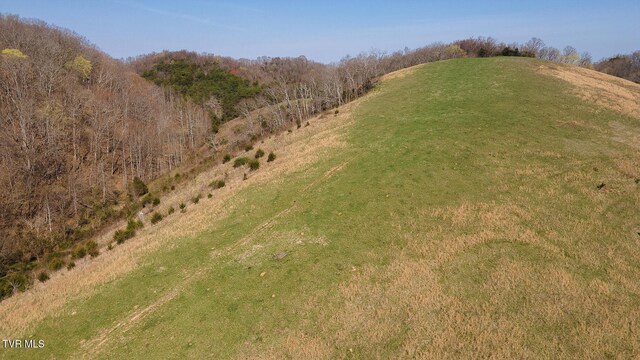 TBD49.60 Looney Rd, Parrottsville, TN 37843 - photo 38