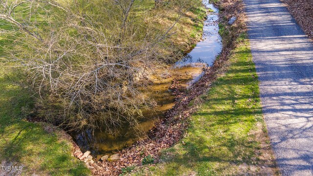 TBD49.60 Looney Rd, Parrottsville, TN 37843 - photo 43