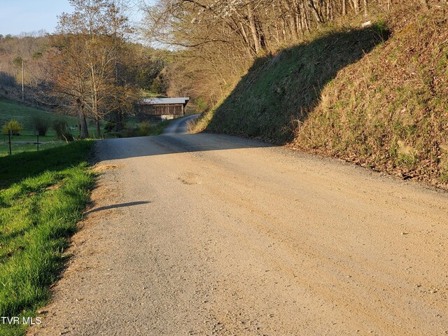 TBD49.60 Looney Rd, Parrottsville, TN 37843 - photo 45