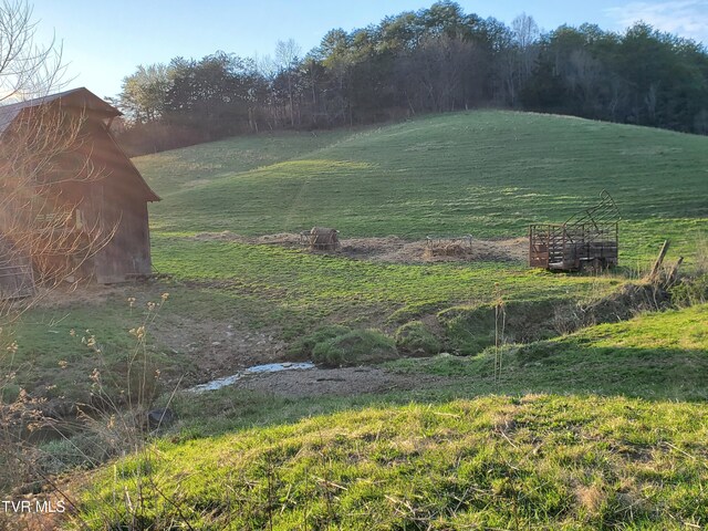 TBD49.60 Looney Rd, Parrottsville, TN 37843 - photo 6