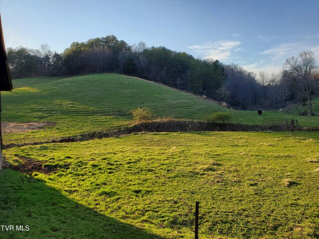 TBD49.60 Looney Rd, Parrottsville, TN 37843 - photo 18