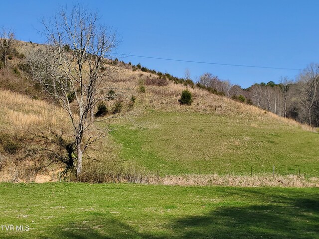 TBD49.60 Looney Rd, Parrottsville, TN 37843 - photo 4