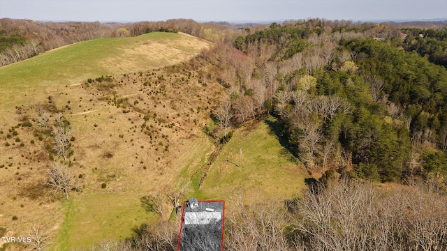 TBD49.60 Looney Rd, Parrottsville, TN 37843 - photo 42