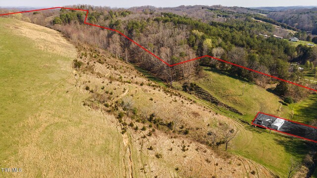 TBD49.60 Looney Rd, Parrottsville, TN 37843 - photo 14