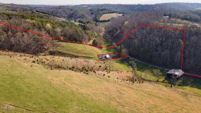 TBD49.60 Looney Rd, Parrottsville, TN 37843 - photo 15