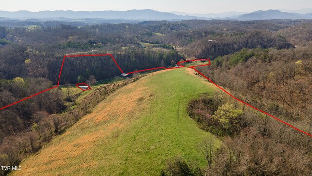 TBD49.60 Looney Rd, Parrottsville, TN 37843 - photo 40