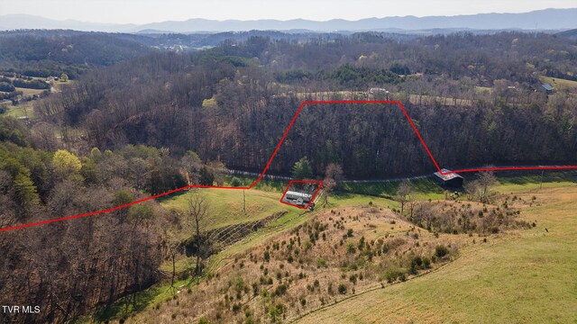 TBD49.60 Looney Rd, Parrottsville, TN 37843 - photo 39