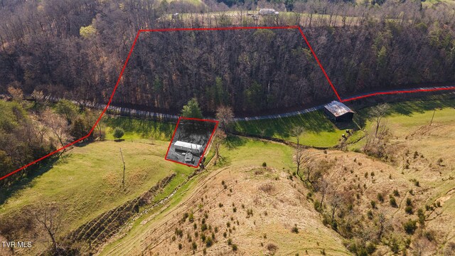 TBD49.60 Looney Rd, Parrottsville, TN 37843 - photo 16