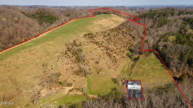 TBD49.60 Looney Rd, Parrottsville, TN 37843 - photo 32