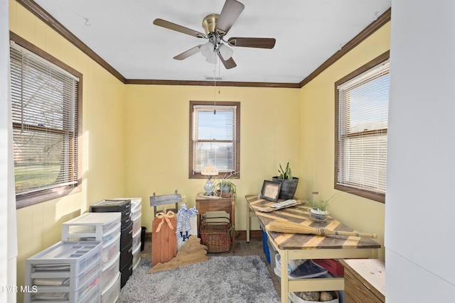 4245 Maplewood St, Kingsport, TN 37660 - office area featuring a ceiling fan, crown molding, and visible vents