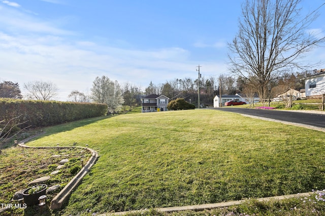 4245 Maplewood St, Kingsport, TN 37660 - view of yard