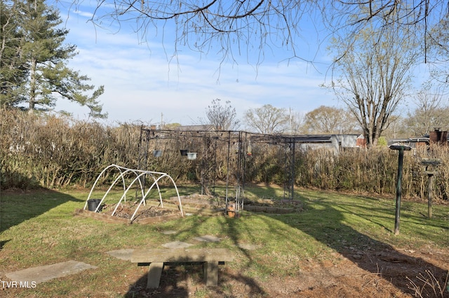 4245 Maplewood St, Kingsport, TN 37660 - view of yard featuring a vegetable garden