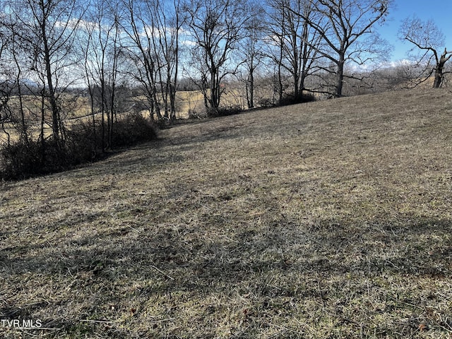14251 Nickelsville Hwy, Nickelsville, VA 24271 - photo 2