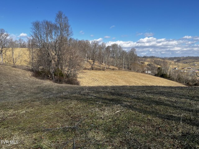 14251 Nickelsville Hwy, Nickelsville, VA 24271 - photo 3