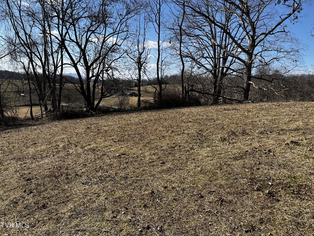 14251 Nickelsville Hwy, Nickelsville, VA 24271 - photo 4