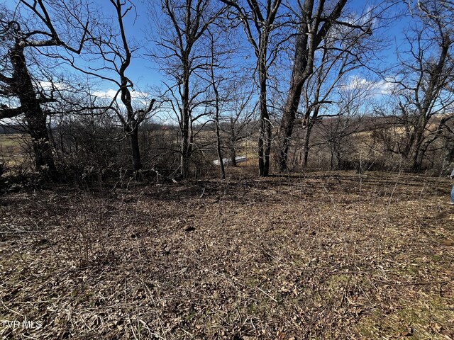 14251 Nickelsville Hwy, Nickelsville, VA 24271 - photo 5