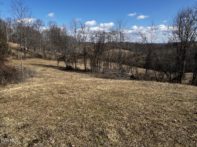 14251 Nickelsville Hwy, Nickelsville, VA 24271 - photo 6