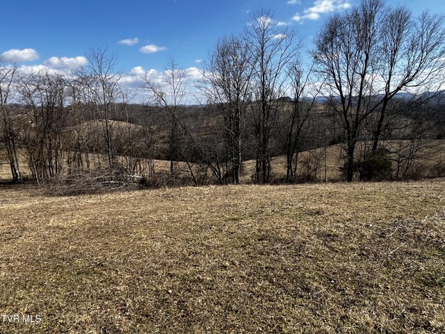 14251 Nickelsville Hwy, Nickelsville, VA 24271 - photo 8